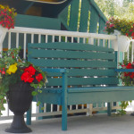 Bench surrounded by Flowers in Front of Robber's Roost Motel